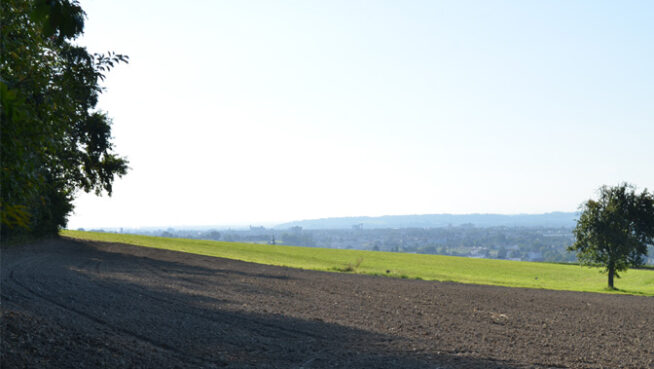 Blick vom Waldrand nach Leonding