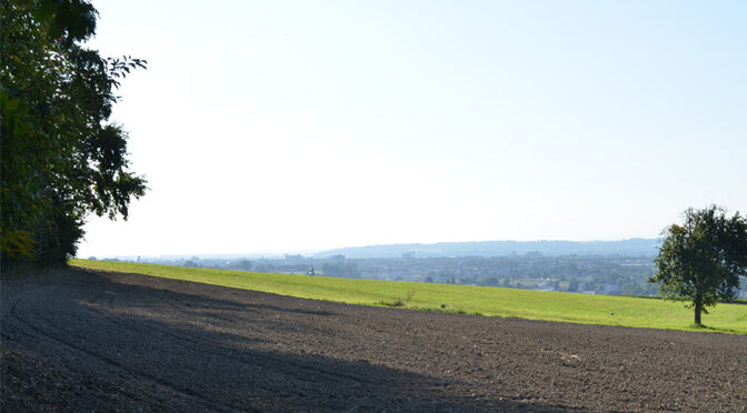 Blick vom Waldrand nach Leonding