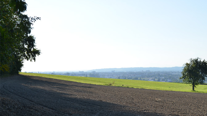 Blick vom Waldrand nach Leonding